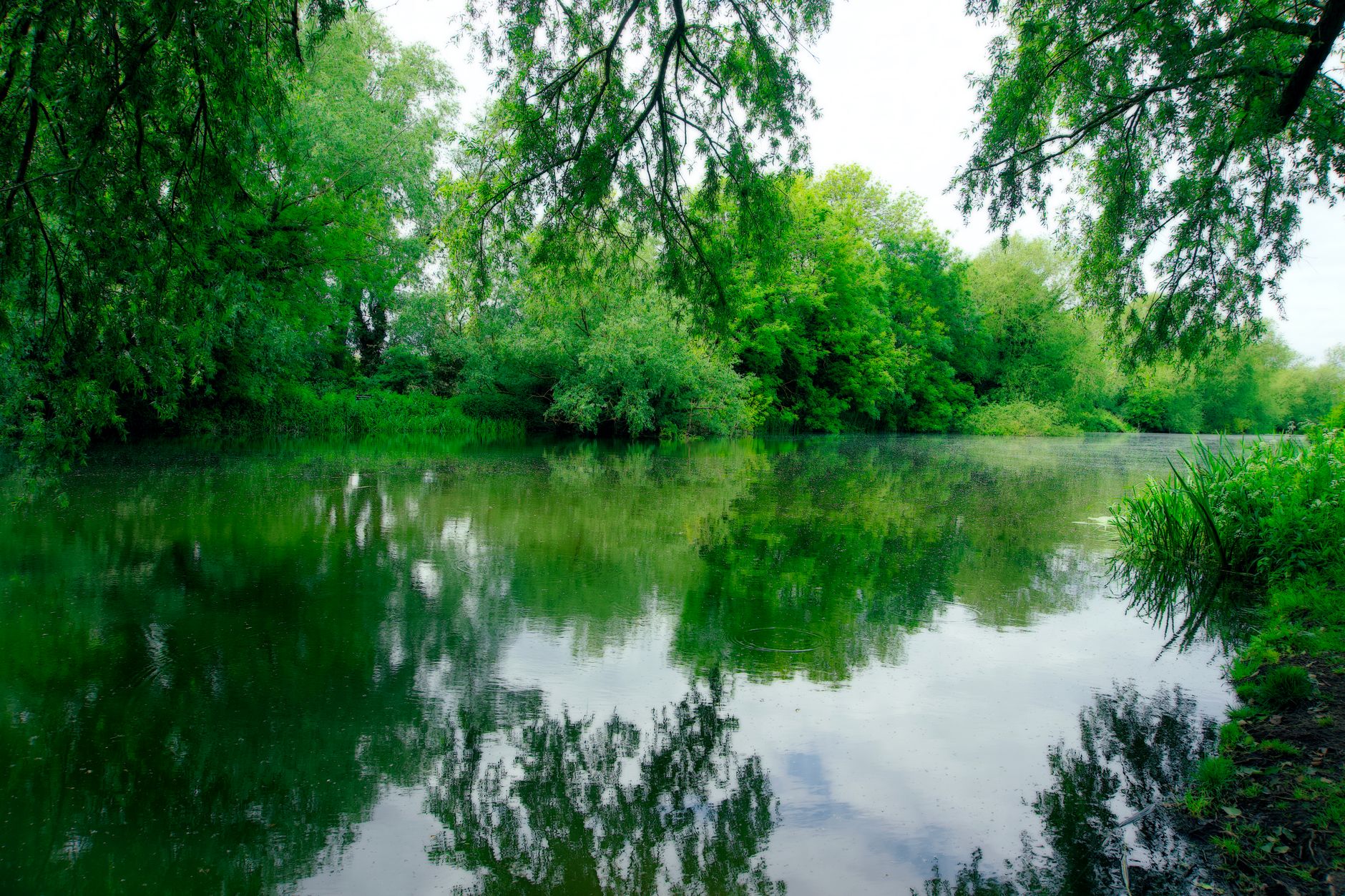 Learning to Live with Uncertainty: Why What-If Thinking Fuels Constant Worry